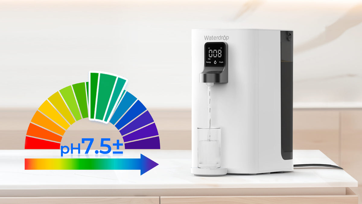 Enjoy Healthy Mineral Water at Home