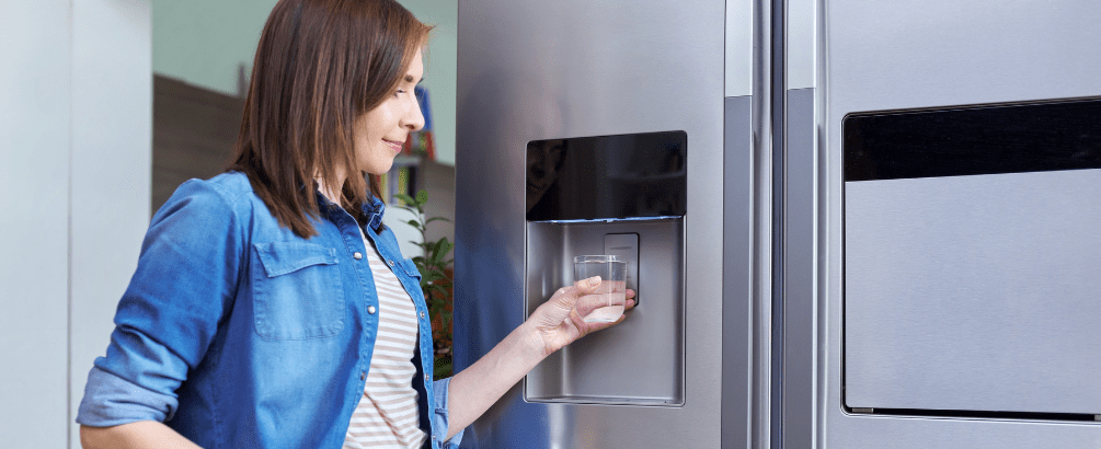 Cheap Solutions for XWFE Water Filter Replacement of GE Refrigerator