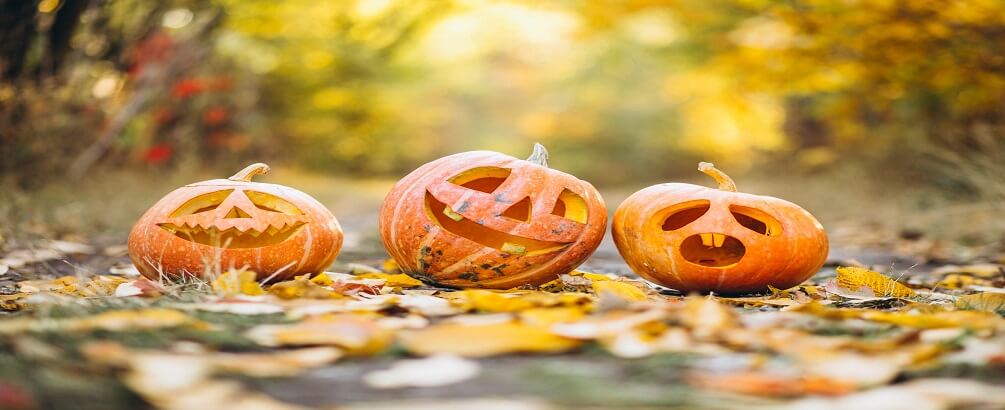 All You Need To Know About Halloween Celebrations