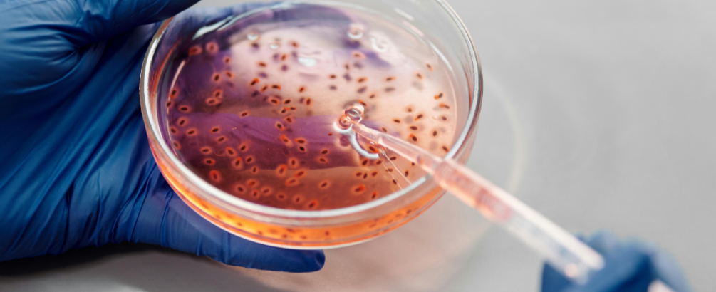 How to Avoid Brain-Eating Amoeba? Complete Guide