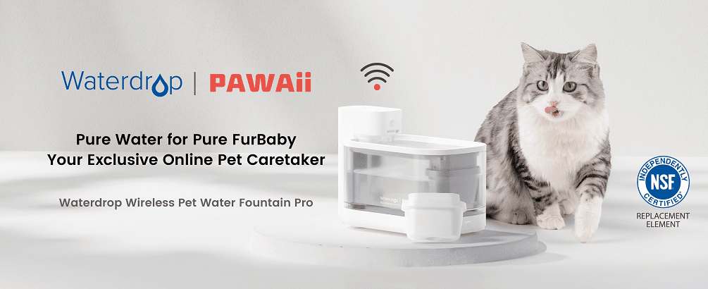 Are you ready for the launch of the Waterdrop Wireless Pet Water Fountain Pro?