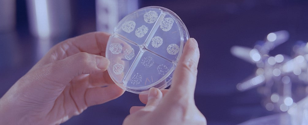 Bacterium That Can Cause Fatal Illness Found in the U.S. for the First Time