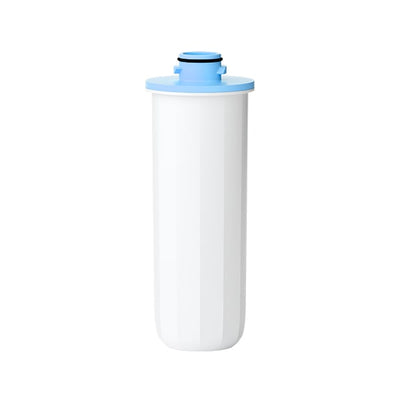 Replacement Filter