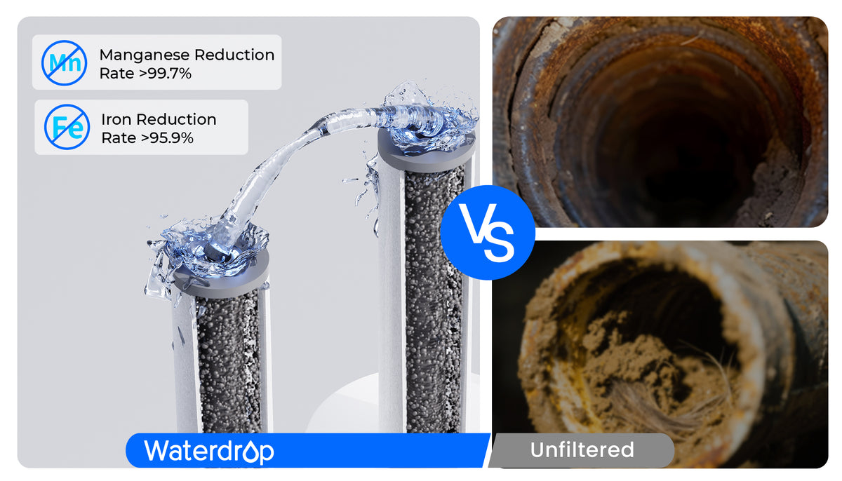 Dual Protection — Stop Iron & Manganese Damage