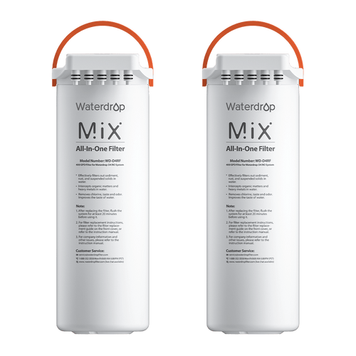 Two-Year Replacement Filters For D4