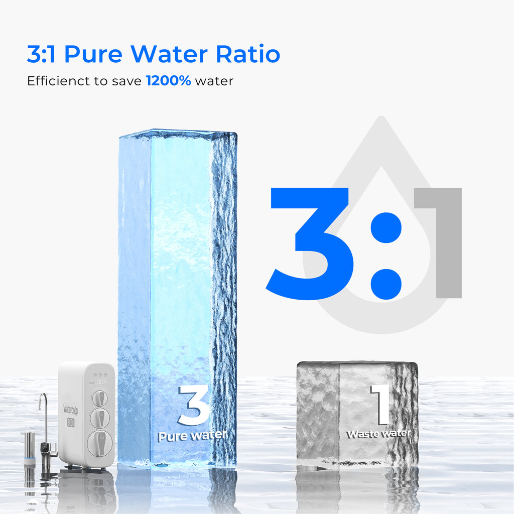 G3P800 with Remineralization Filter Bundle