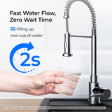 DSP1 Filter Replacement for DST Stainless Steel Under Sink Water Filter System