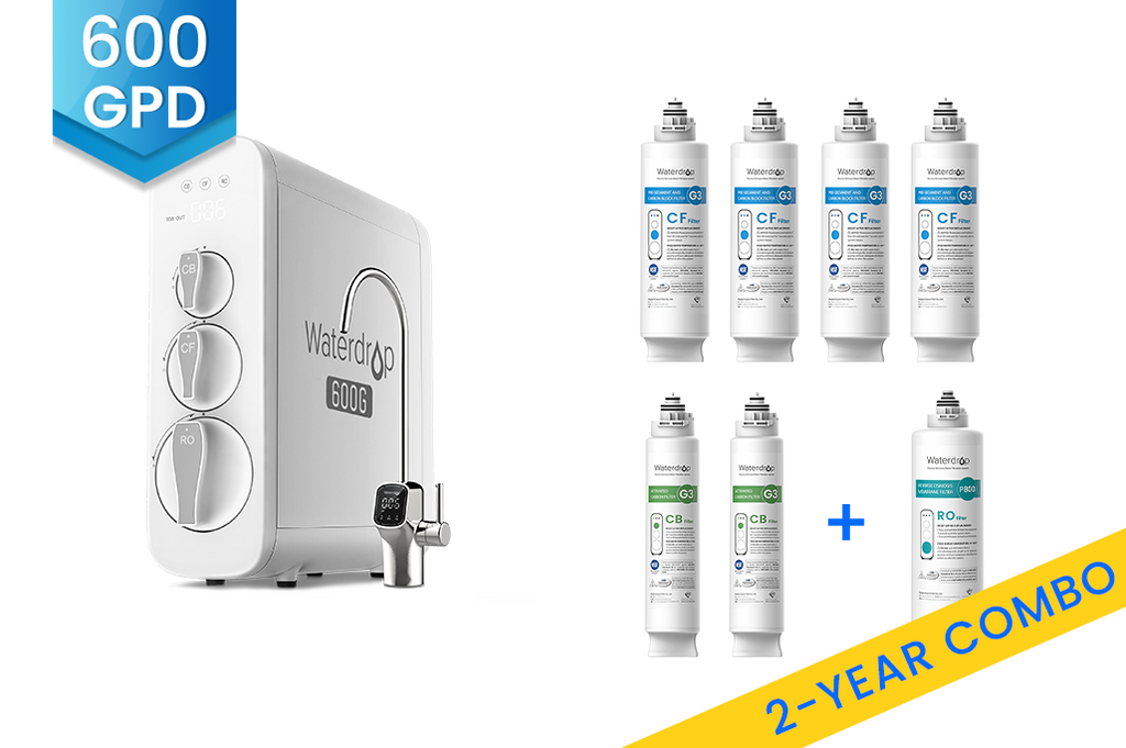 G3P600 with Two-Year Filters Bundle