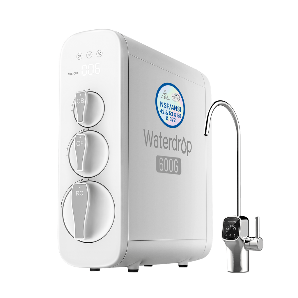 G3P600 with Two-Year Filters Bundle