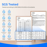 Countertop Remineralization Reverse Osmosis Water Filter System K19-SFK