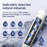 G3P800 with Remineralization Filter Bundle