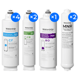 Two-Years Remineralization Replacement Filter Set for G3P600