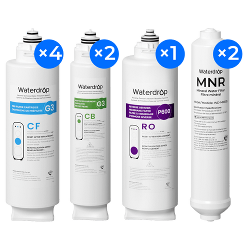 Two-Years Remineralization Replacement Filter Set for G3P600