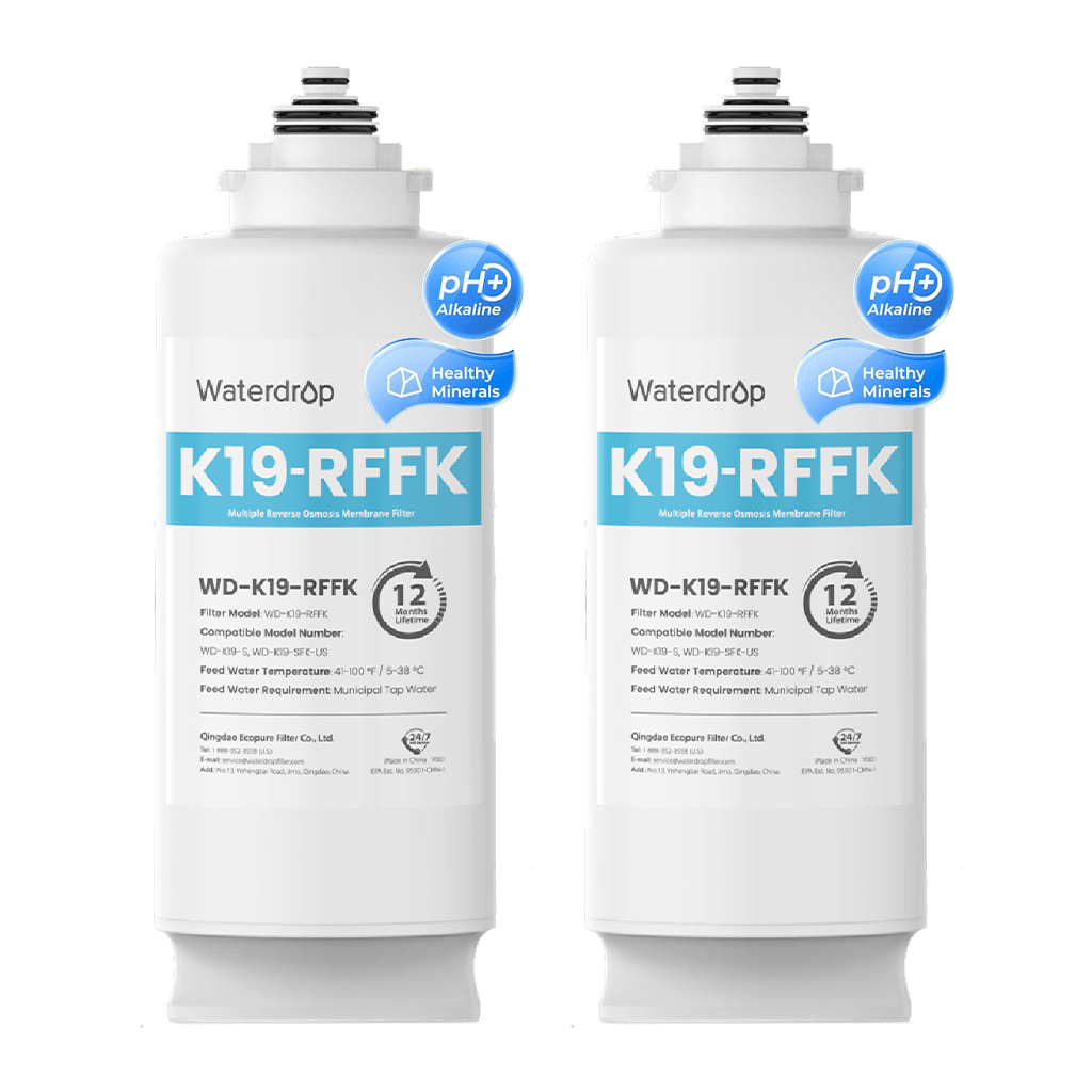 Two-Year Mineral Replacement Filters For K19-SFK