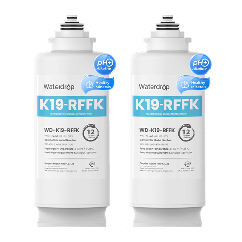 Two-Year Mineral Replacement Filters For K19-SFK