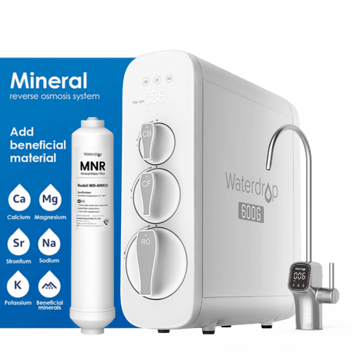G3P600 with Remineralization Filter Bundle
