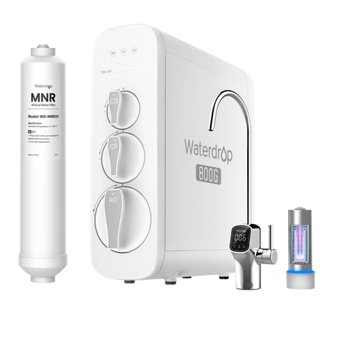 G3P800 with Remineralization Filter Bundle