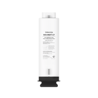 G5P700-CF Filter