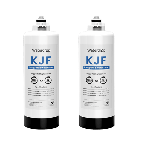 Two-Year Replacement Filters For K6