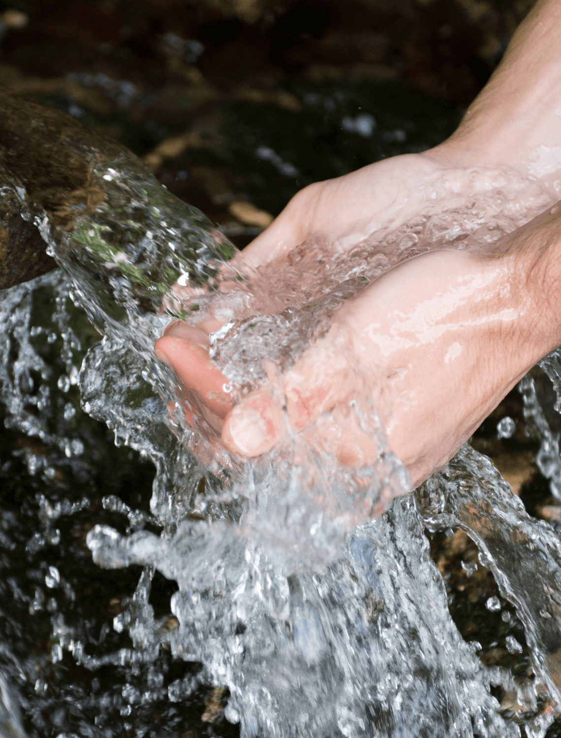 Is Spring Water Better Than Purified Water?