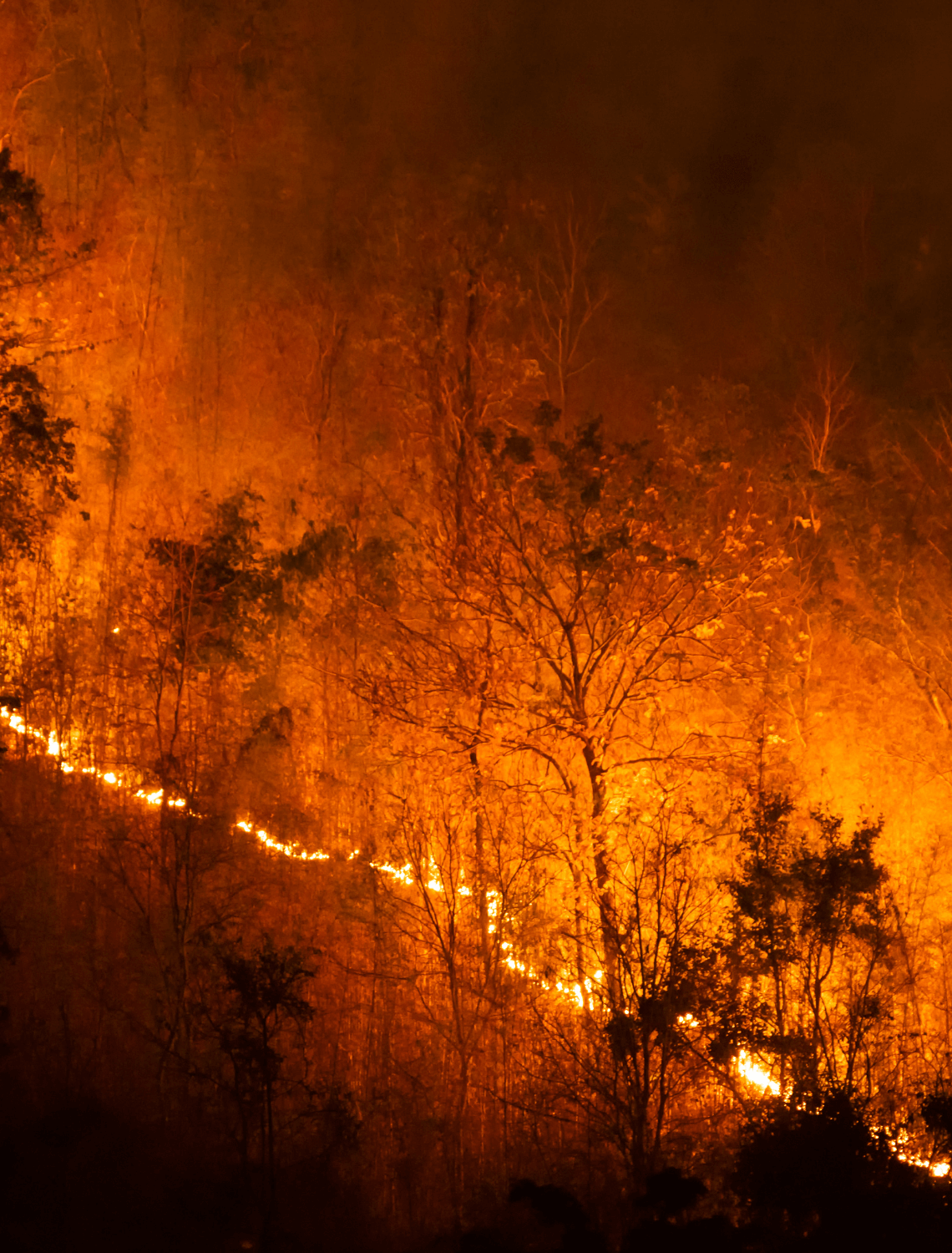 Recent LA Fires Highlight the Need for Emergency Water Safety Solutions