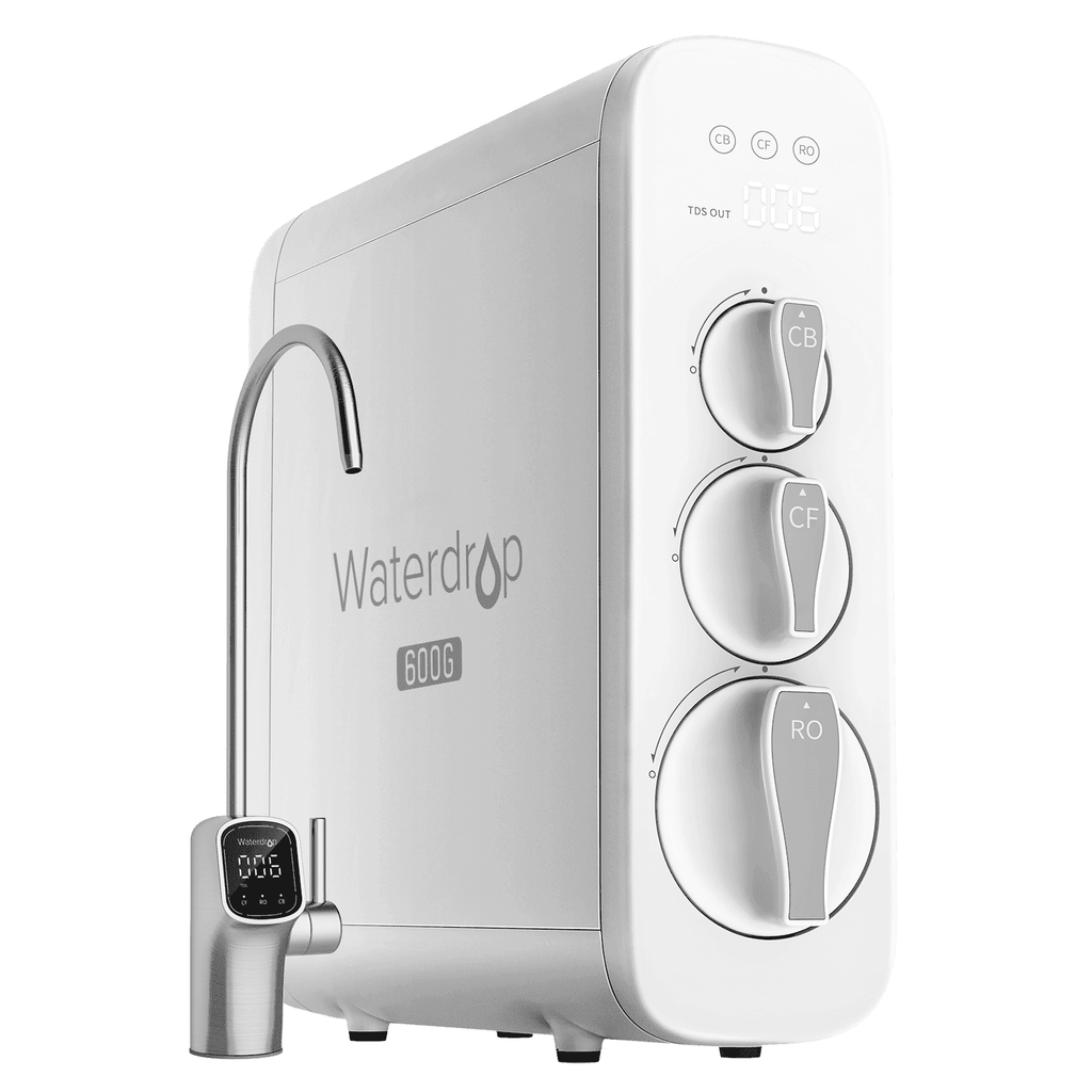 G3P600 with Two-Year Filters Bundle