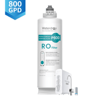 G3P800-N2RO Filter