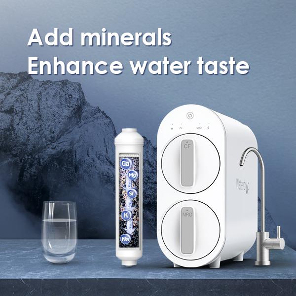 G2 with Remineralization Filter Bundle