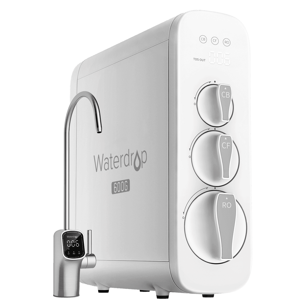 G3P600 with One-Year Filters Bundle