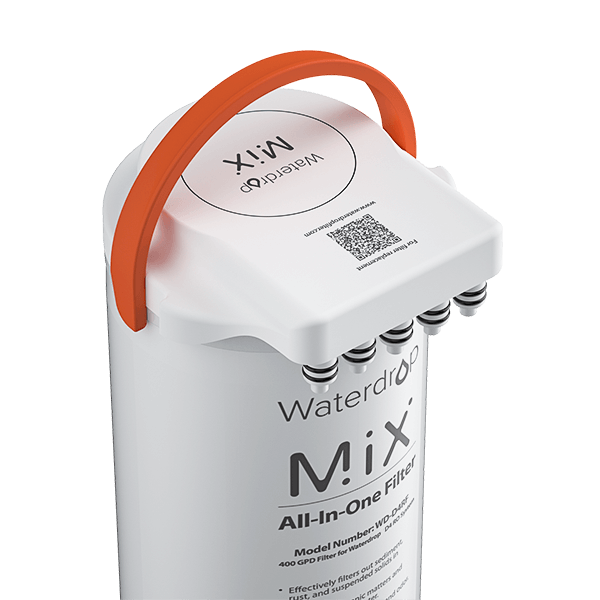 Two-Year Replacement Filters For D4