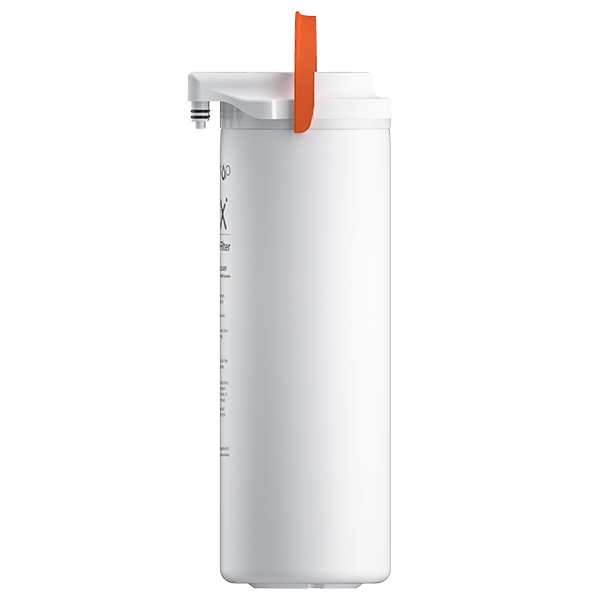 Two-Year Replacement Filters For D4